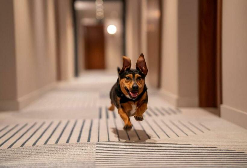 Belmonte Hotel Krynica Zdrój