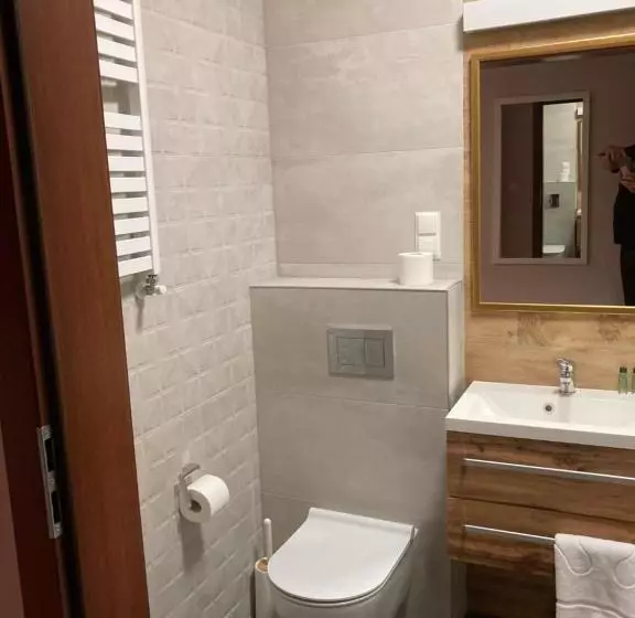 Hotelli Leśna Polana