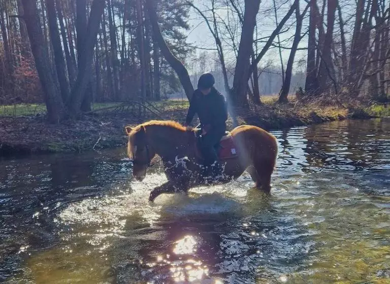 ホテル Samsara   Prawdziwa Agroturystyka
