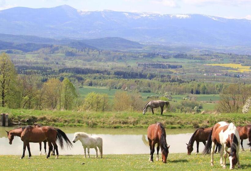 בית מלון כפרי Szałas Muflon Mufflonhütte