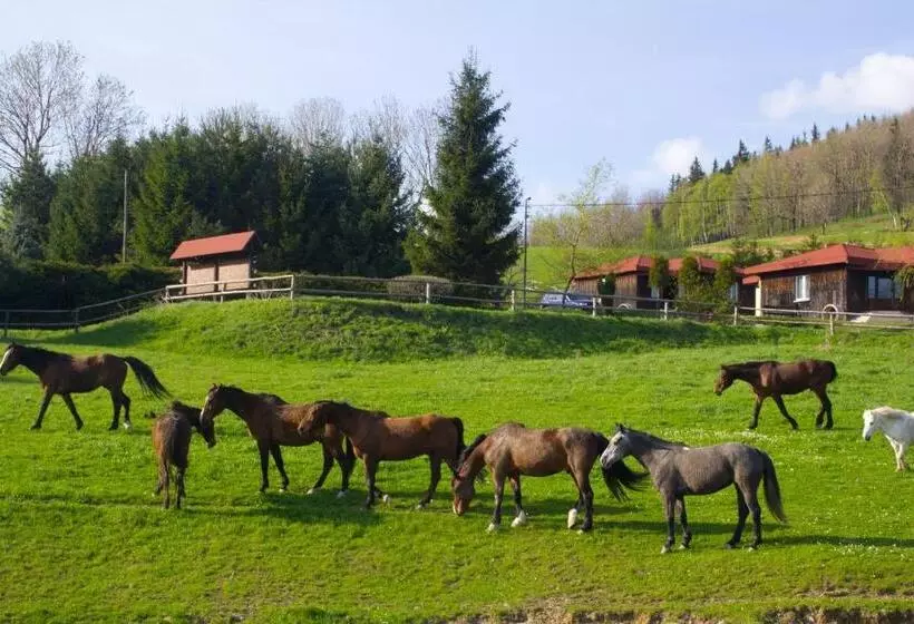 ホテル Szałas Muflon   Mufflonhütte
