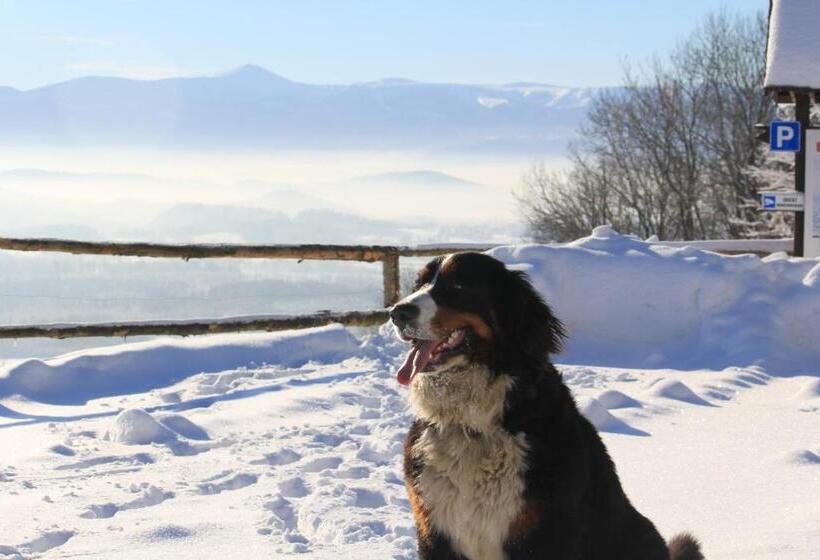 בית מלון כפרי Szałas Muflon Mufflonhütte