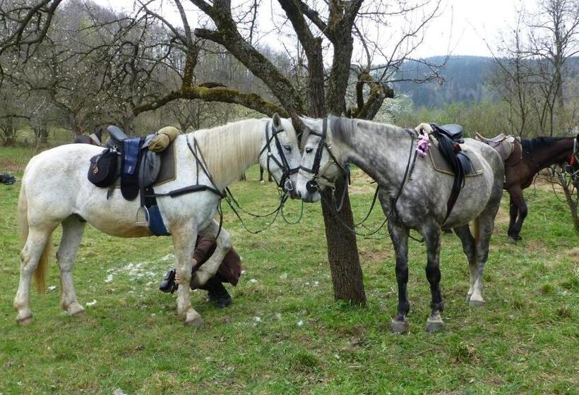 בית מלון כפרי Szałas Muflon Mufflonhütte