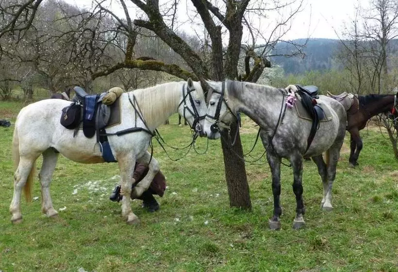 ホテル Szałas Muflon   Mufflonhütte