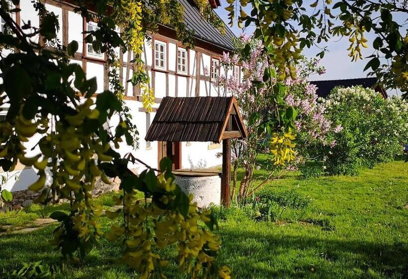 پانسیون Dom Pod Mandragorą, Natural House Ad 1800