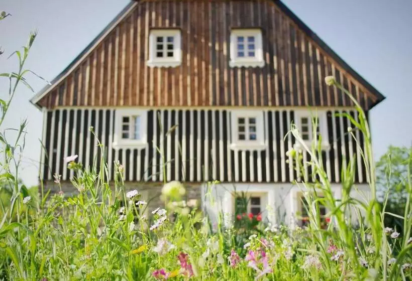 Majatalo Dom Pod Mandragorą, Natural House Ad 1800