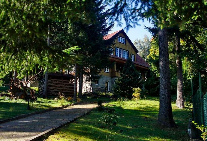 بنسيون Willa 1910