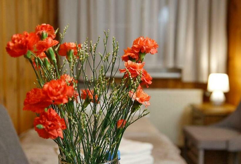 بنسيون Willa 1910