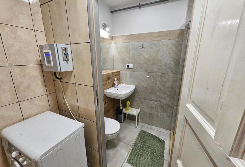 호스텔 Noclegi Silesia Aster