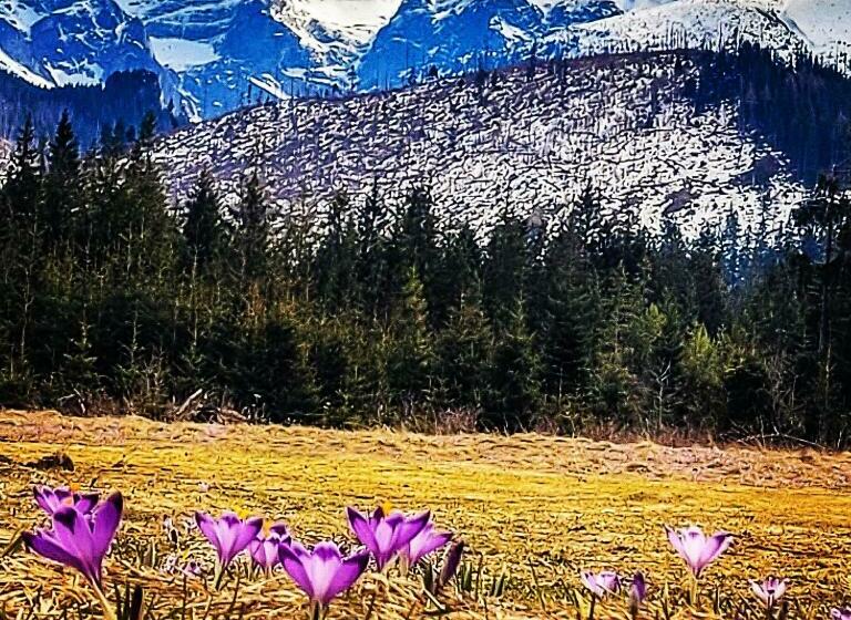 민박 Krokus Park Residence