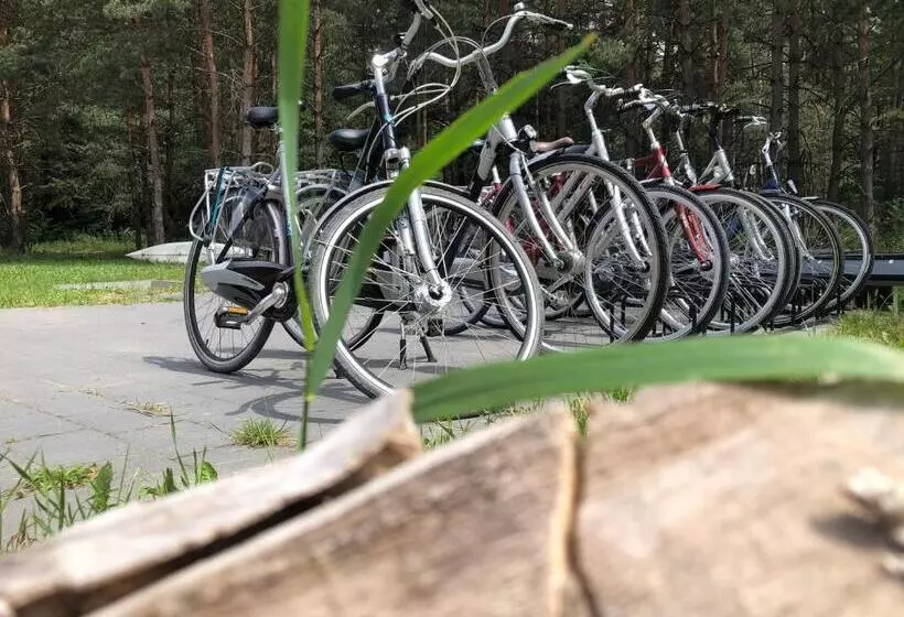 Aamiaismajoitus (B&B) Leśna Chata