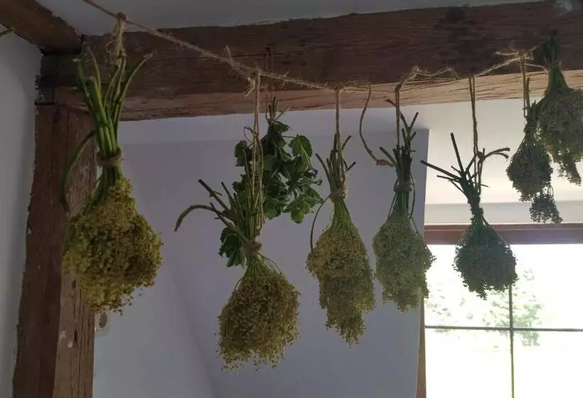 تختخواب و صبحانه Pokoje Gościnne Art  Dworek