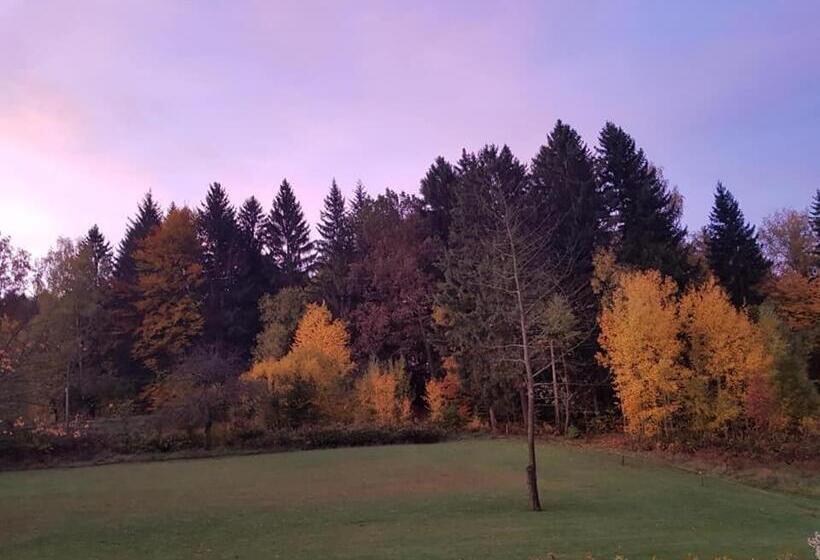 민박 Pokoje Gościnne Art  Dworek