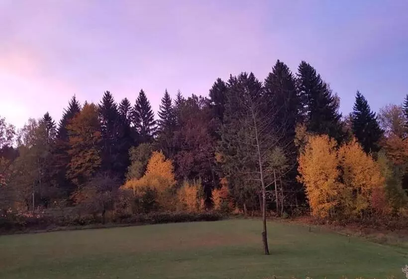 تختخواب و صبحانه Pokoje Gościnne Art  Dworek