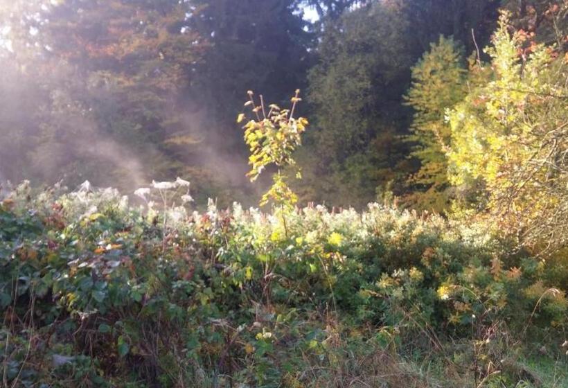 민박 Pokoje Gościnne Art  Dworek