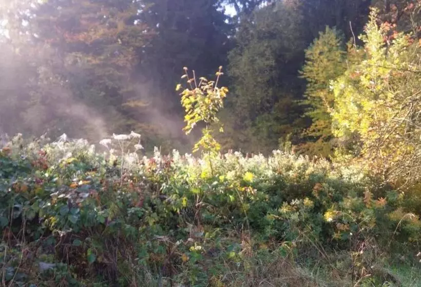 تختخواب و صبحانه Pokoje Gościnne Art  Dworek