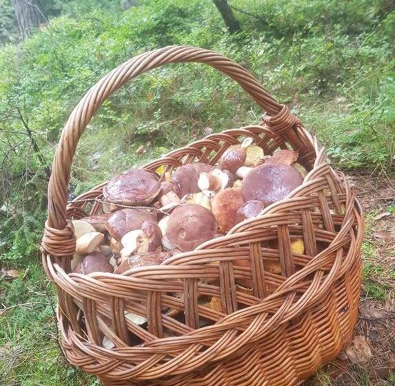 민박 Pokoje Gościnne Art  Dworek