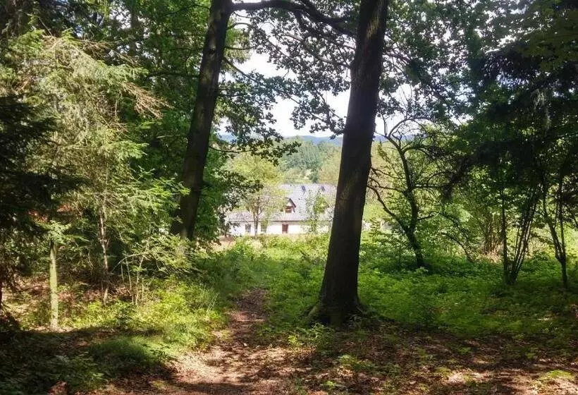 تختخواب و صبحانه Pokoje Gościnne Art  Dworek