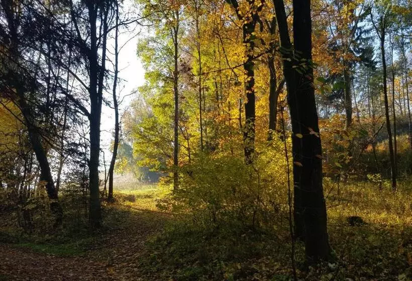 تختخواب و صبحانه Pokoje Gościnne Art  Dworek