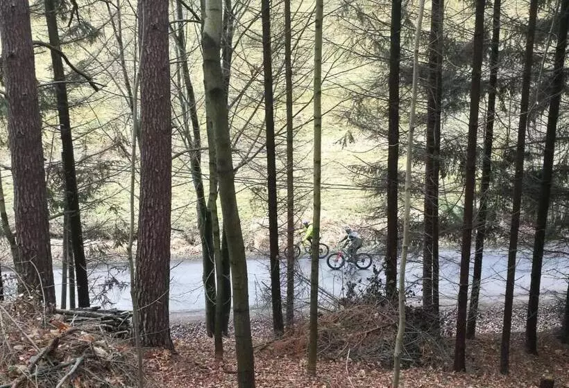 تختخواب و صبحانه Pokoje Gościnne Art  Dworek