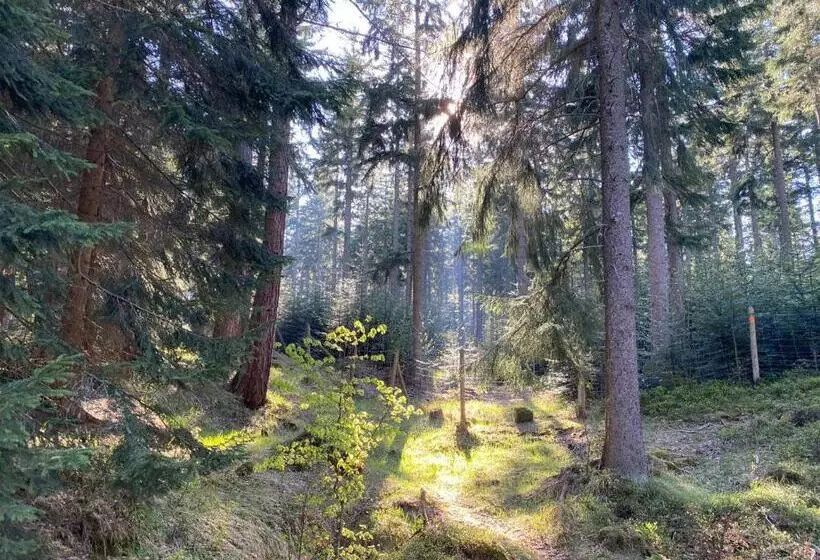 تختخواب و صبحانه Willa Gencjana