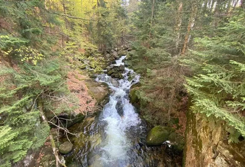 تختخواب و صبحانه Willa Gencjana