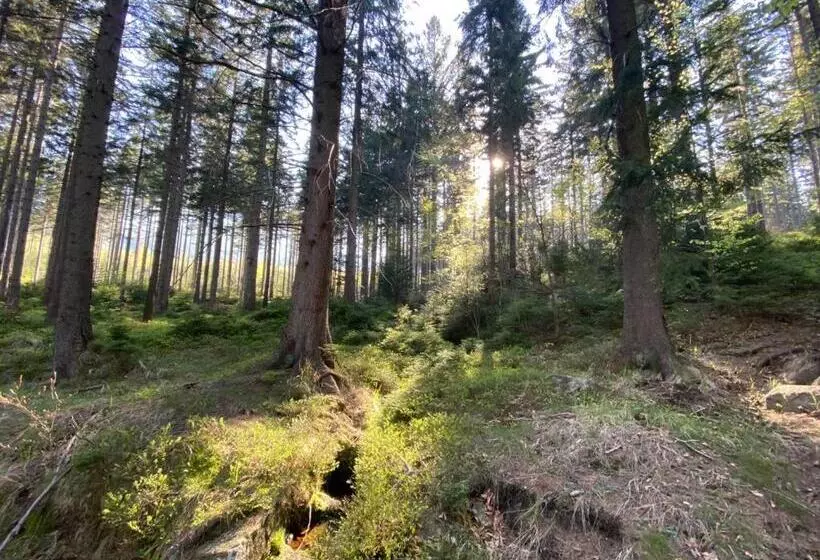 تختخواب و صبحانه Willa Gencjana