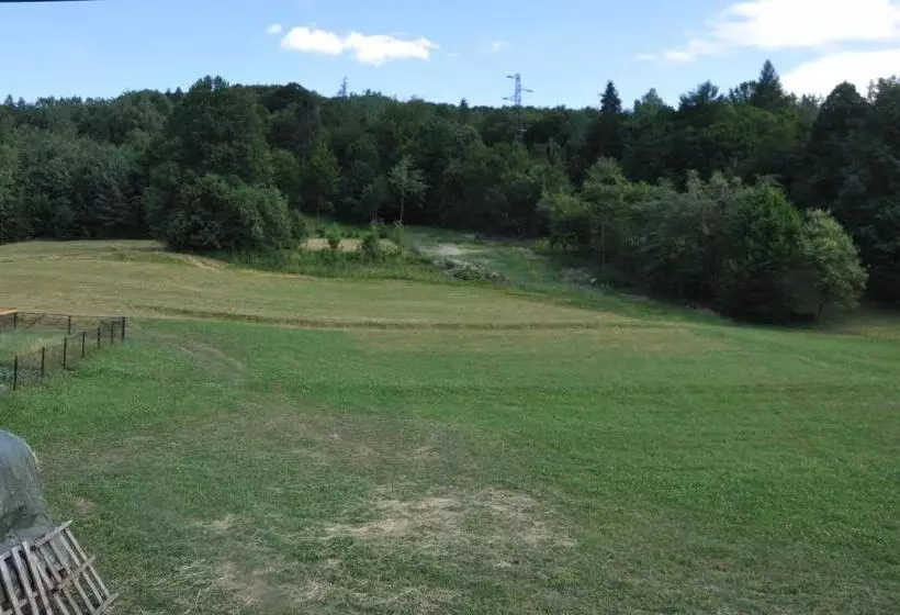 ホテル Agroturystyka Królowo