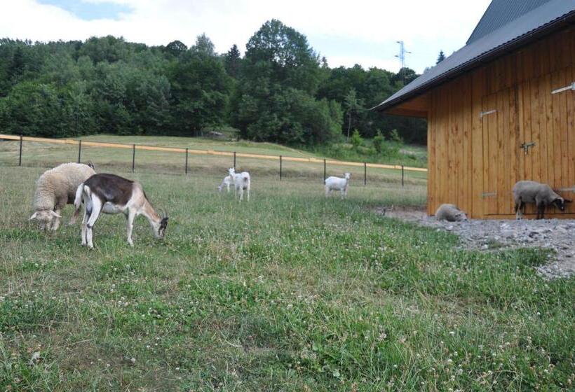 فندق Agroturystyka Królowo