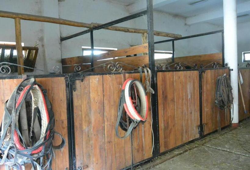 فندق Agroturystyka Królowo