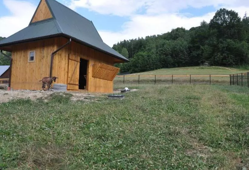 ホテル Agroturystyka Królowo