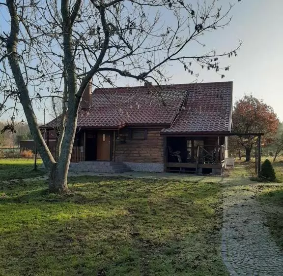 ホテル Agroturystyka żubr