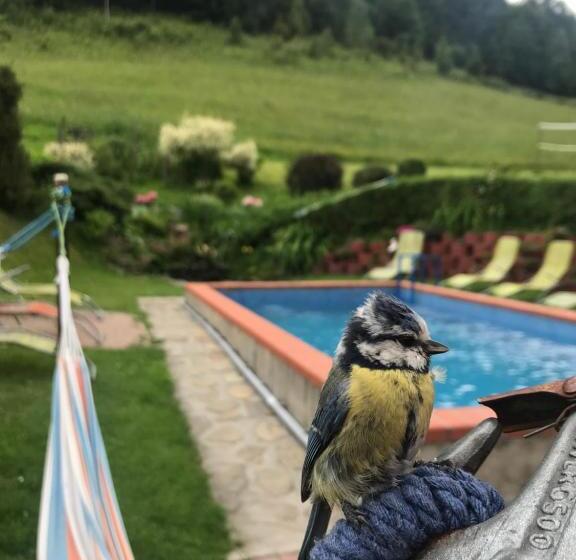 Hotell Apartamenty Kadłubek