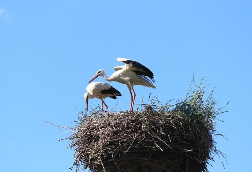 Отель Cicha Dolina