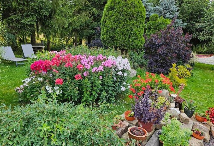 ホテル Noclegi U Przewodników Zwiedzaczek