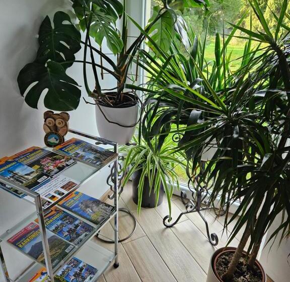 ホテル Noclegi U Przewodników Zwiedzaczek