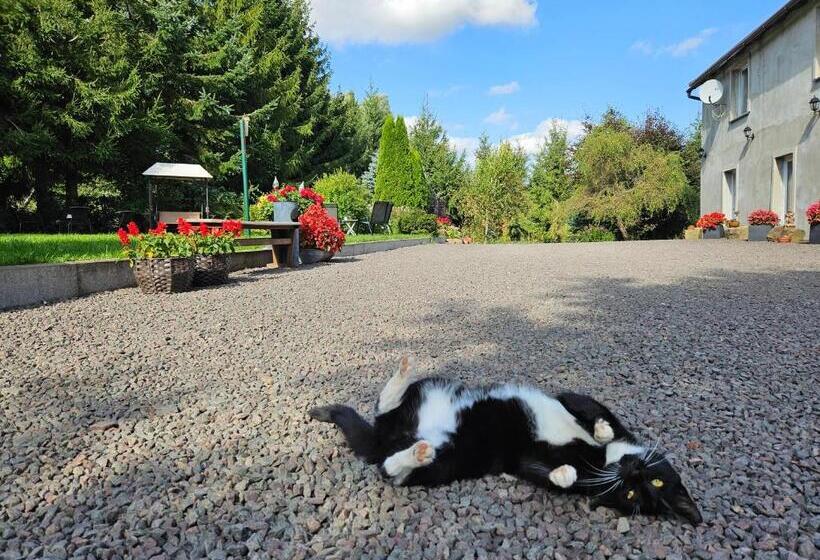 ホテル Noclegi U Przewodników Zwiedzaczek