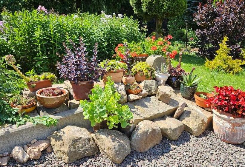 ホテル Noclegi U Przewodników Zwiedzaczek