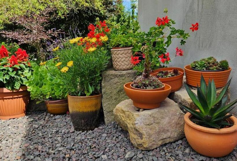 ホテル Noclegi U Przewodników Zwiedzaczek