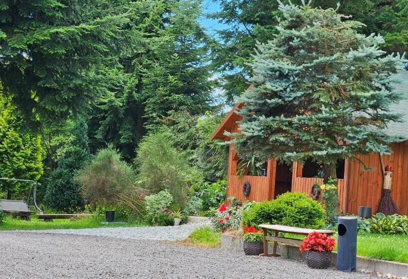 ホテル Noclegi U Przewodników Zwiedzaczek