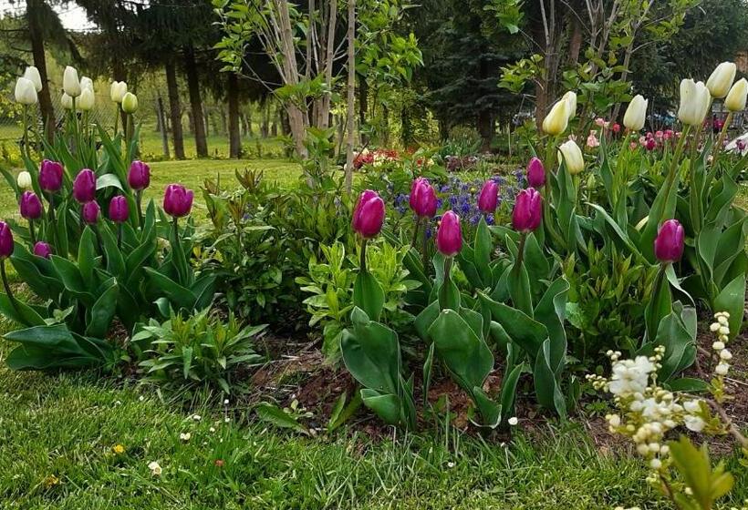 ホテル Noclegi U Przewodników Zwiedzaczek