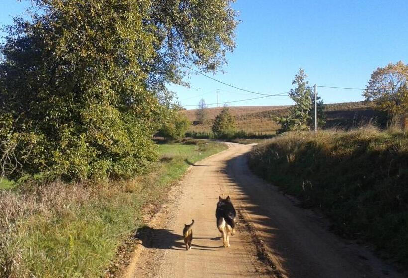 酒店 Pod Tulipanem Nad Jeziorem