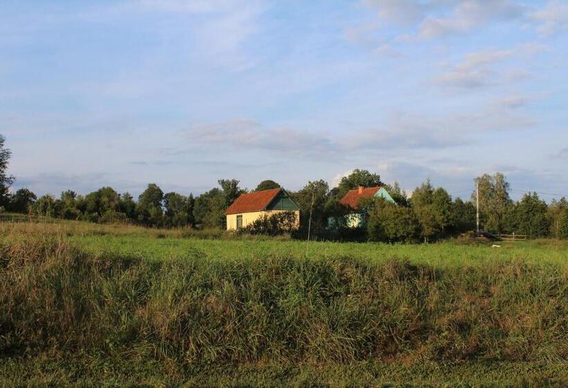 酒店 Pod Tulipanem Nad Jeziorem