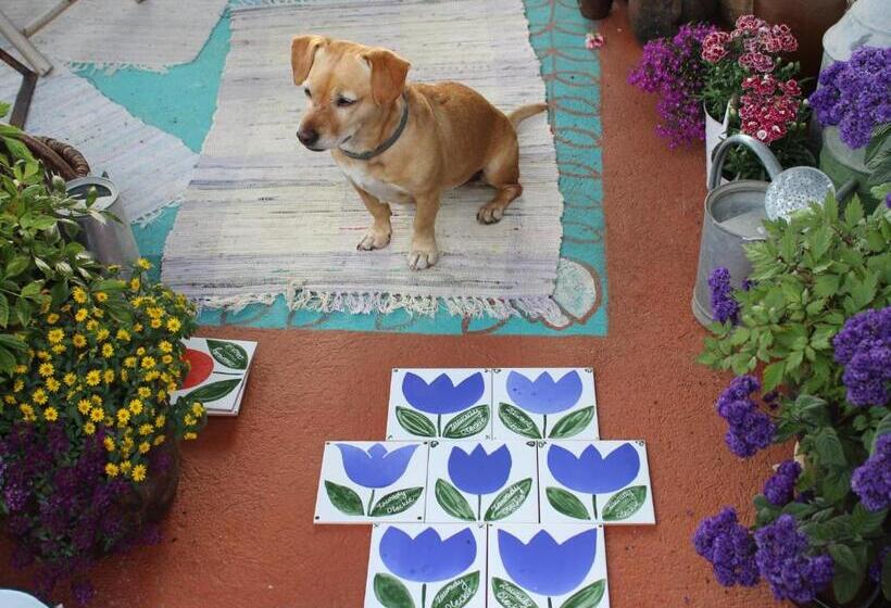 酒店 Pod Tulipanem Nad Jeziorem