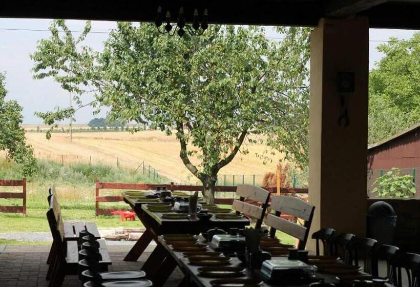 酒店 Ranczo Czarnocin