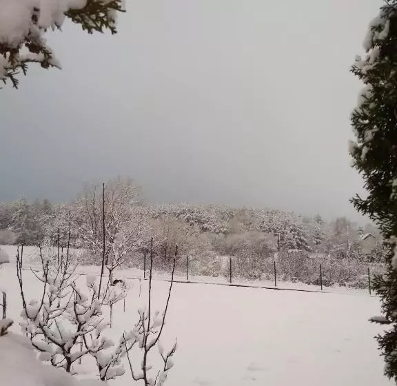 ペンション Villa Jura Pokoje Gościnne