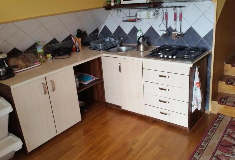 ペンション Willa Szarotka