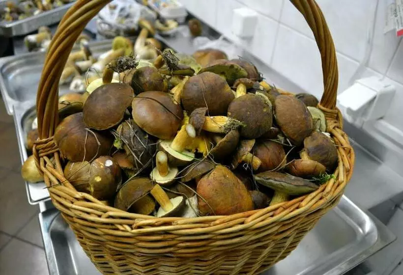 Lomakeskus Vanilla Pokoje I Apartamenty Nad Brzegiem Jeziora