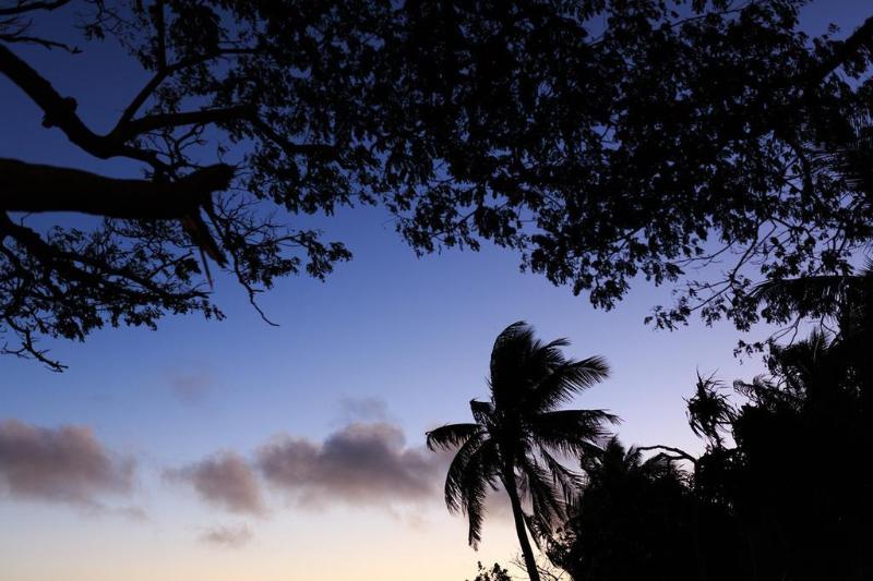 فندق صغير Funky Fish Beach & Surf Resort