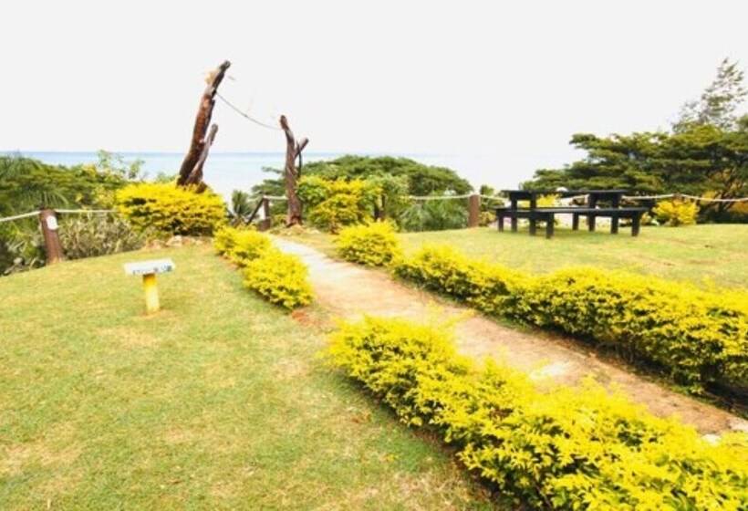 فندق صغير Funky Fish Beach & Surf Resort